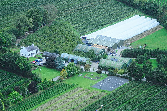 aerial photo