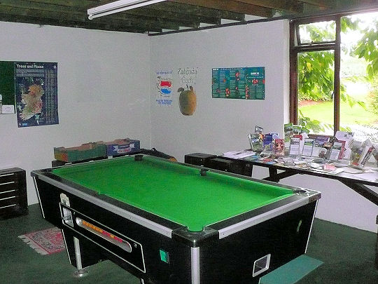 Pool table