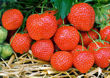 strawberries
