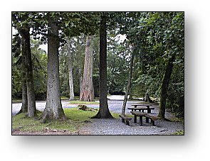 Glengarra picnic area