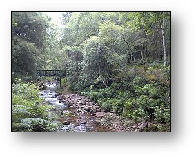 Burncourt river