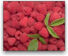 raspberries