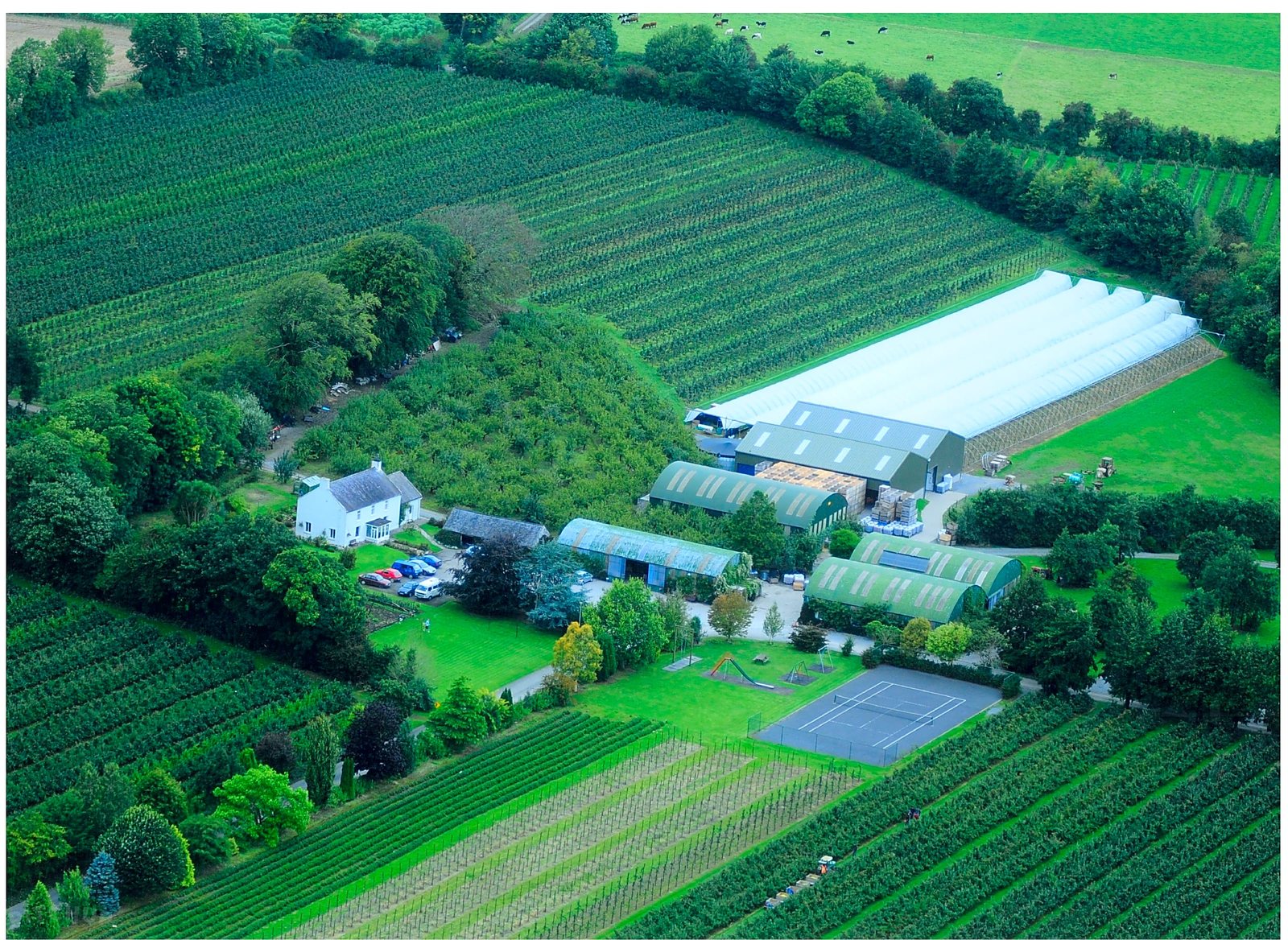 Aerial view of The Apple Farm, with the orchards, farm buildings and camping park