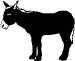 Donkey