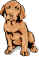 Labrador