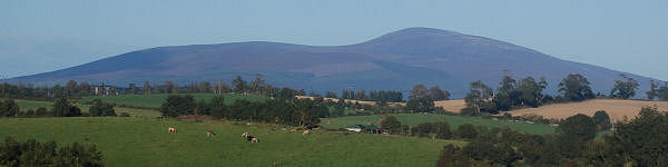 Slievenamon